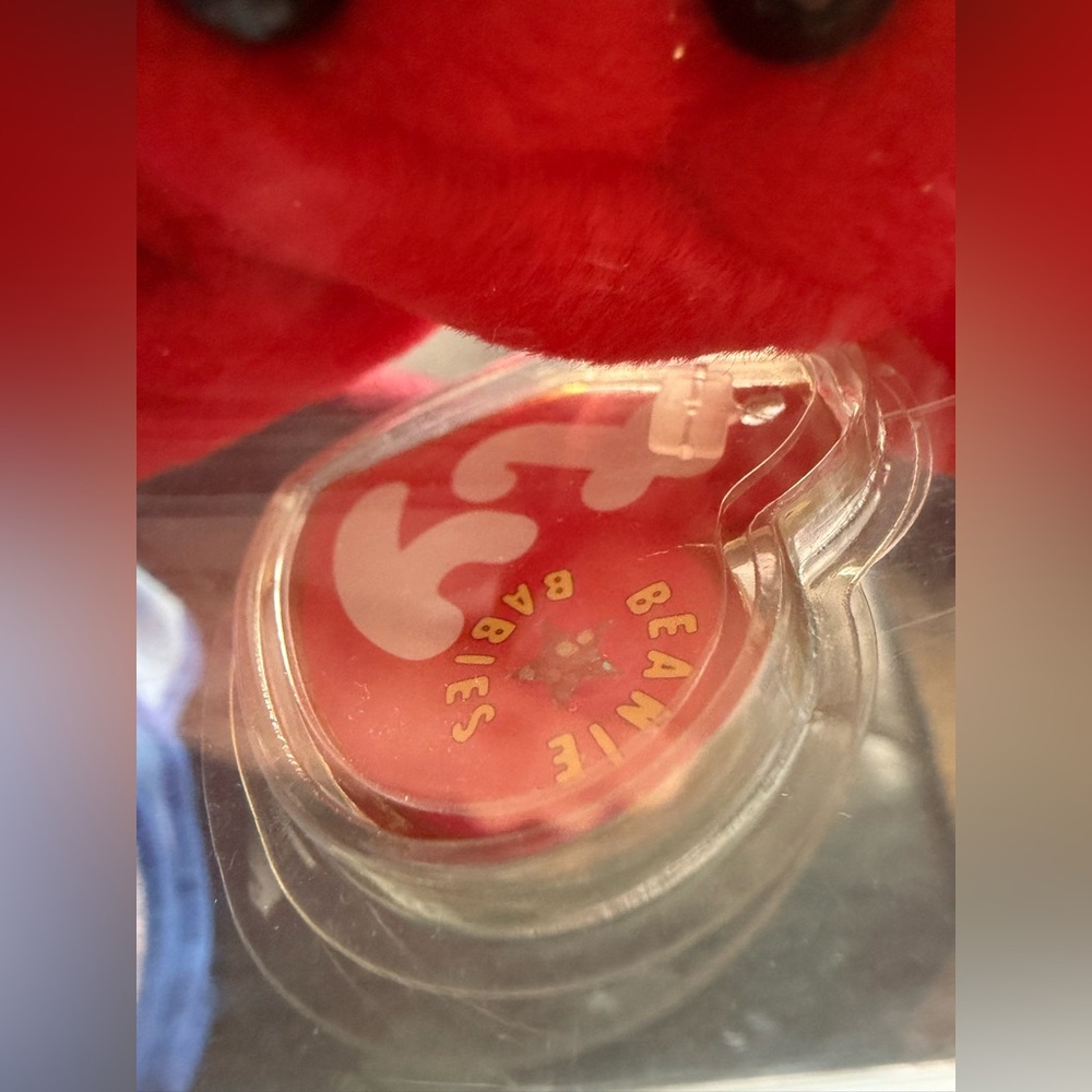 Ty Pierre bear NWT in display case beanie baby Canadian exclusive - Picture 9 of 11